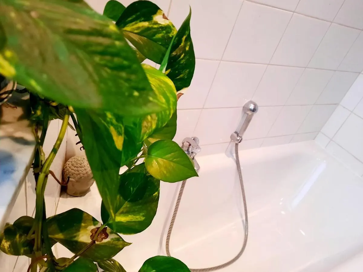 Appartement Ambiance Chalet Liege
